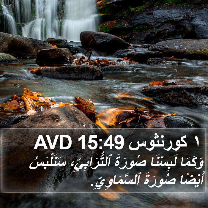 ١ كورنثوس 15:49 AVD Bible Study