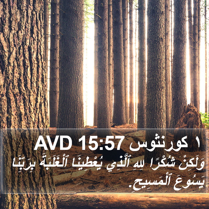 ١ كورنثوس 15:57 AVD Bible Study