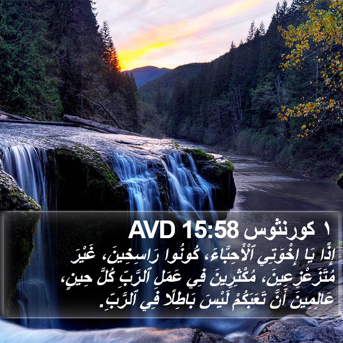 ١ كورنثوس 15:58 AVD Bible Study
