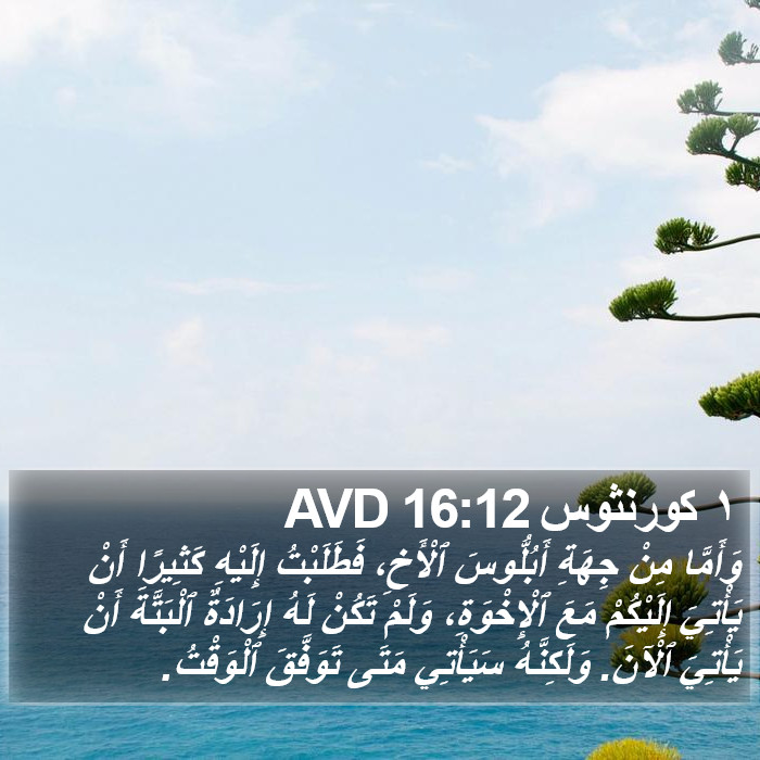 ١ كورنثوس 16:12 AVD Bible Study