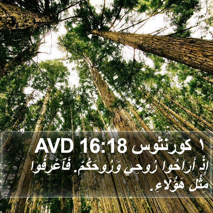 ١ كورنثوس 16:18 AVD Bible Study