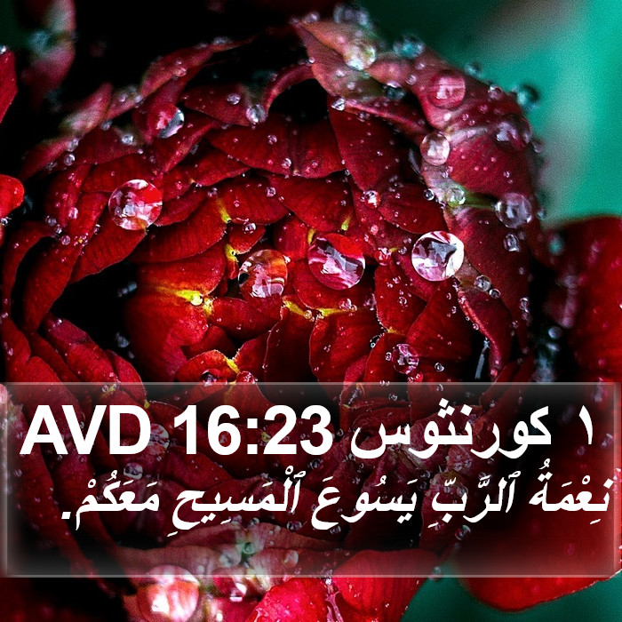 ١ كورنثوس 16:23 AVD Bible Study