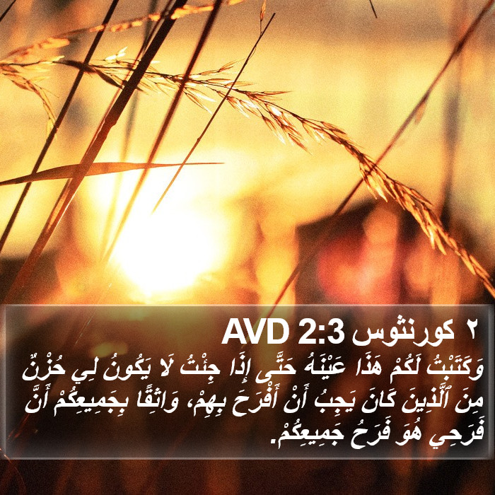 ٢ كورنثوس 2:3 AVD Bible Study