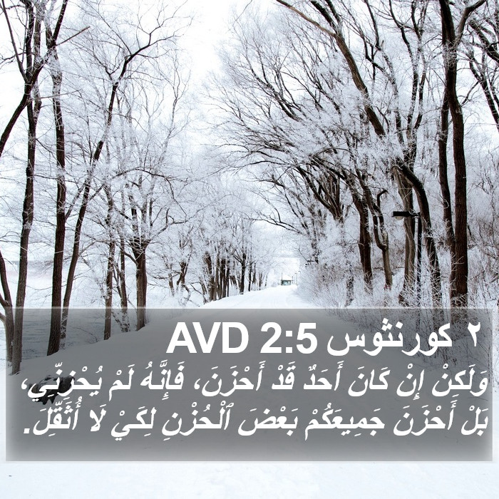 ٢ كورنثوس 2:5 AVD Bible Study