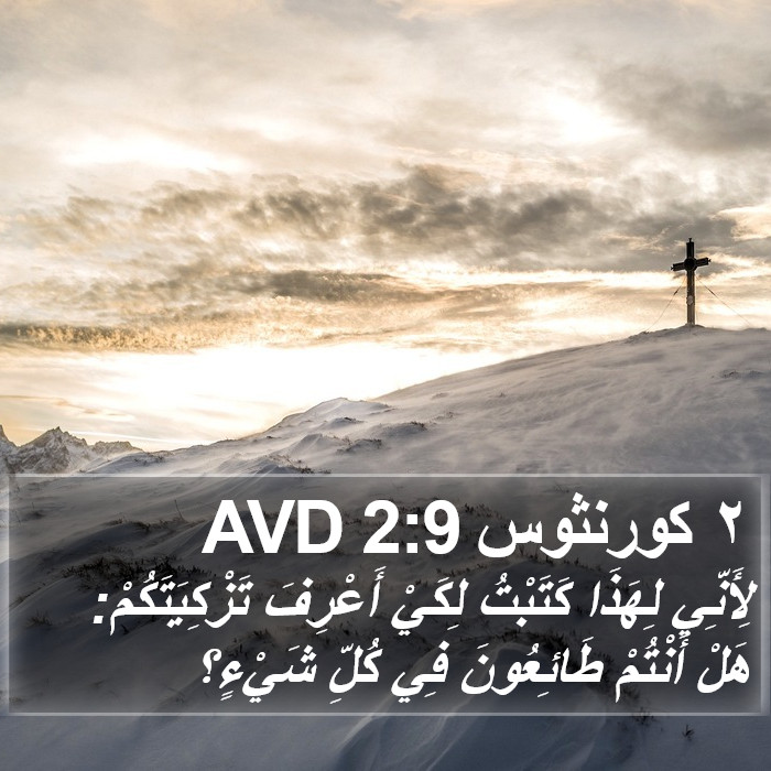 ٢ كورنثوس 2:9 AVD Bible Study