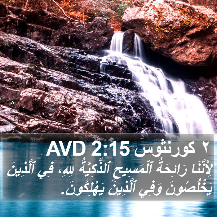 ٢ كورنثوس 2:15 AVD Bible Study