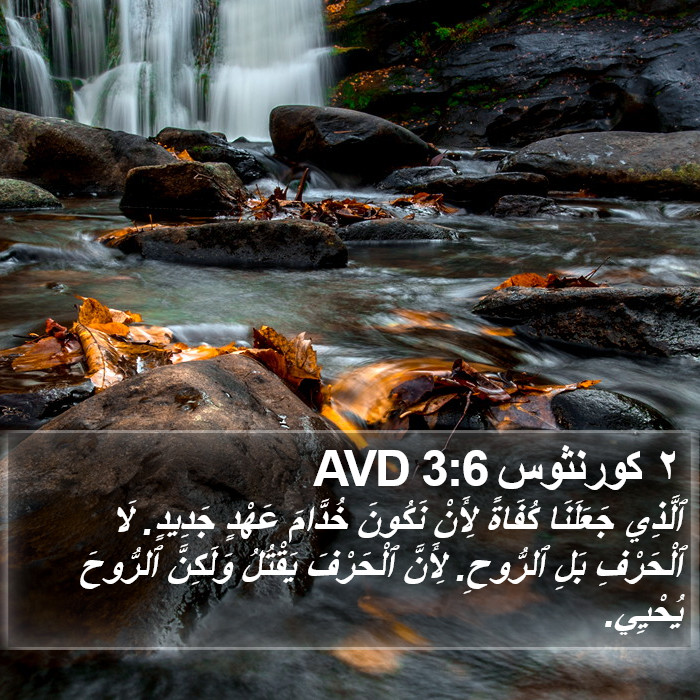 ٢ كورنثوس 3:6 AVD Bible Study