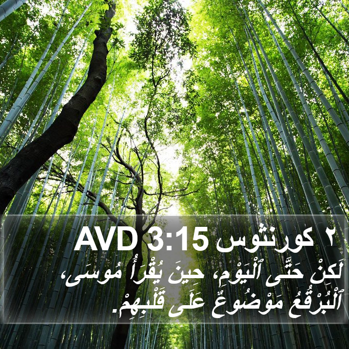 ٢ كورنثوس 3:15 AVD Bible Study