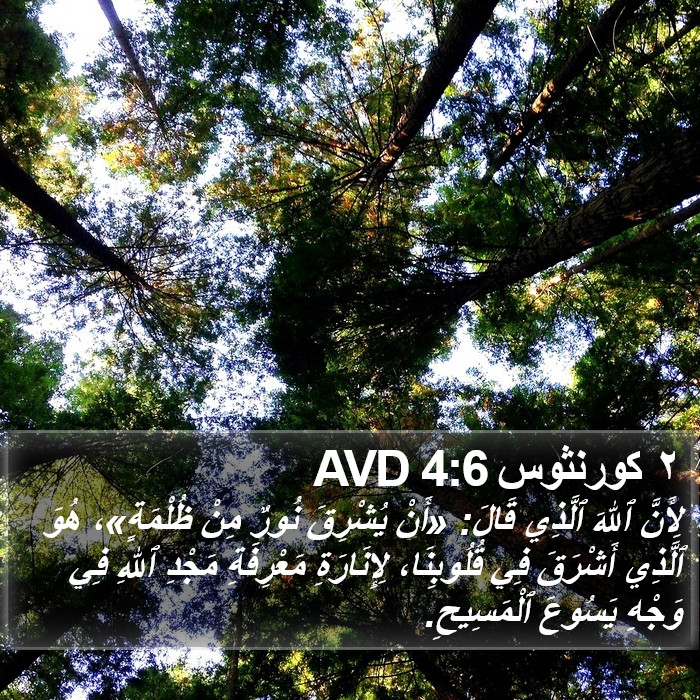 ٢ كورنثوس 4:6 AVD Bible Study