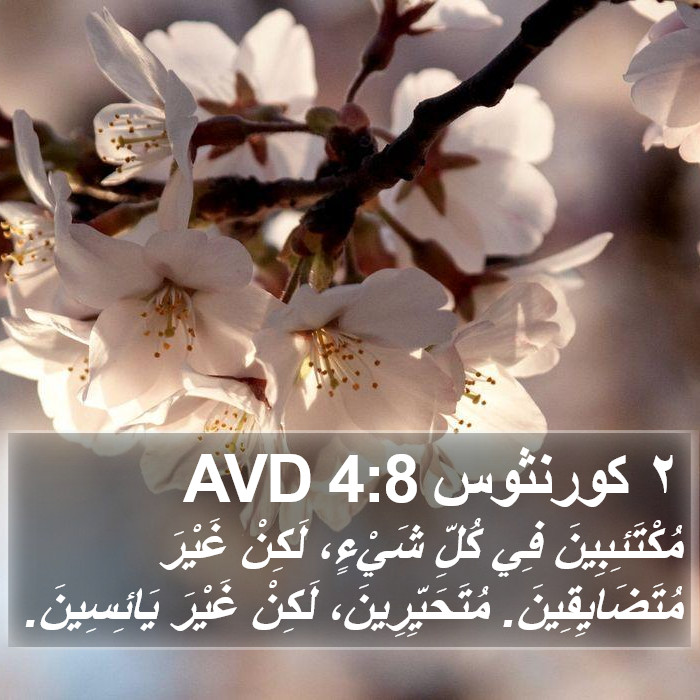 ٢ كورنثوس 4:8 AVD Bible Study