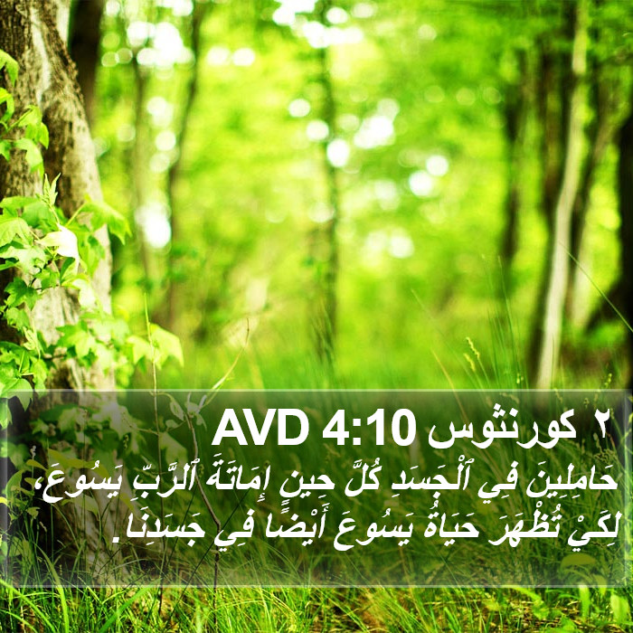 ٢ كورنثوس 4:10 AVD Bible Study