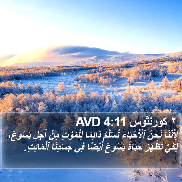 ٢ كورنثوس 4:11 AVD Bible Study