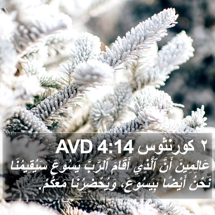 ٢ كورنثوس 4:14 AVD Bible Study