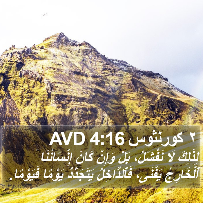 ٢ كورنثوس 4:16 AVD Bible Study