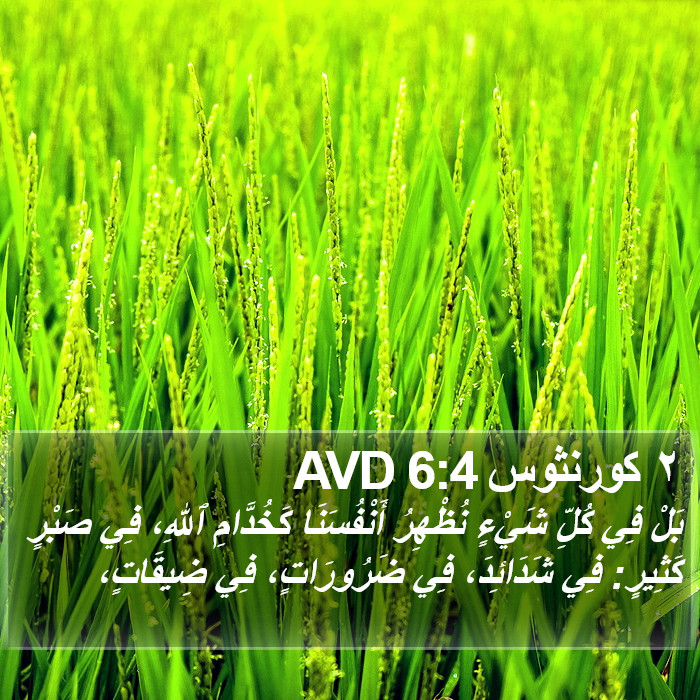 ٢ كورنثوس 6:4 AVD Bible Study