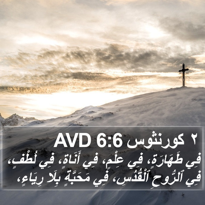 ٢ كورنثوس 6:6 AVD Bible Study