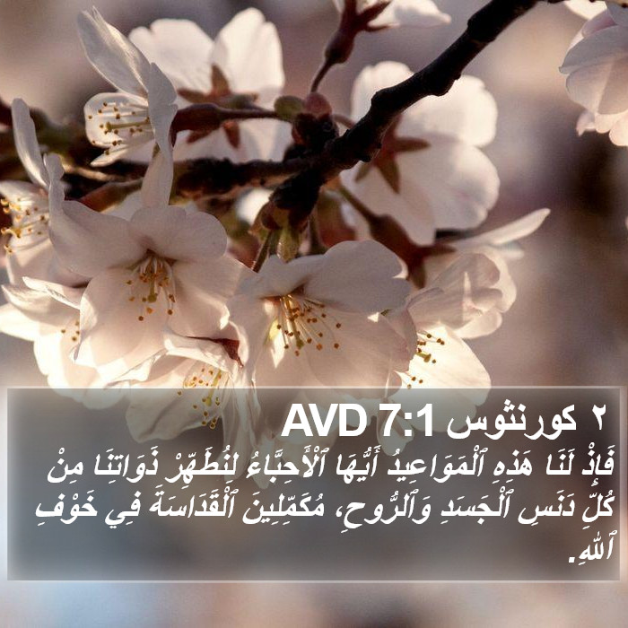 ٢ كورنثوس 7:1 AVD Bible Study