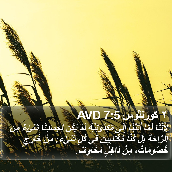 ٢ كورنثوس 7:5 AVD Bible Study