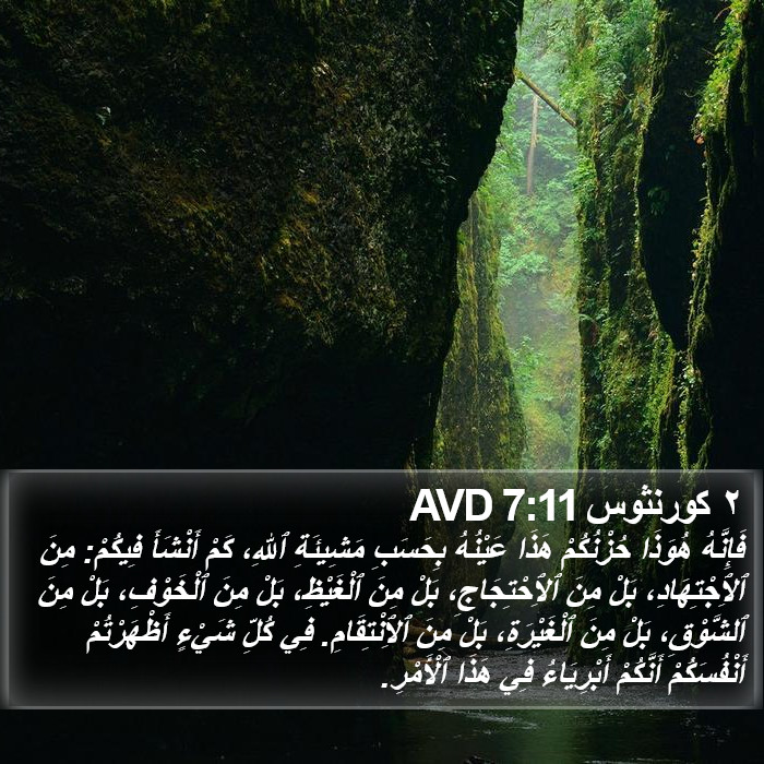 ٢ كورنثوس 7:11 AVD Bible Study