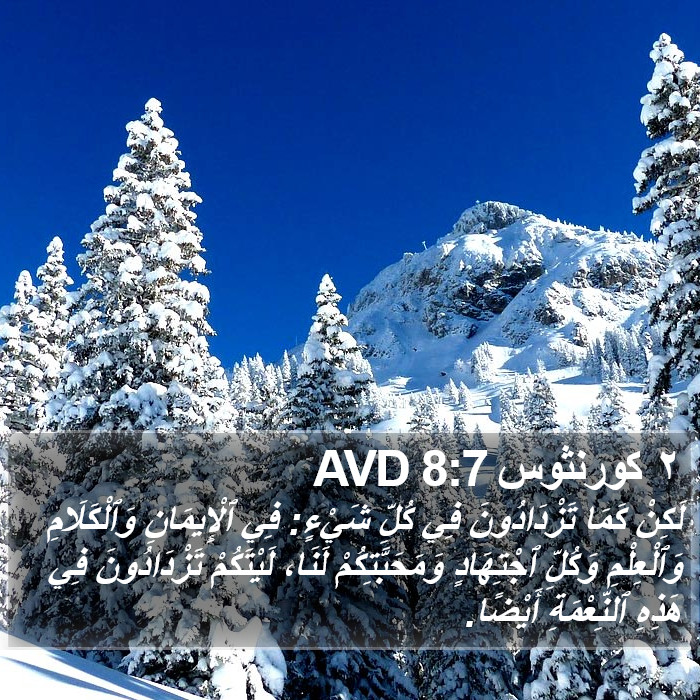 ٢ كورنثوس 8:7 AVD Bible Study
