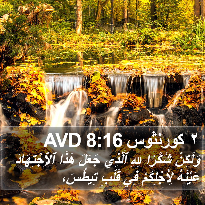 ٢ كورنثوس 8:16 AVD Bible Study