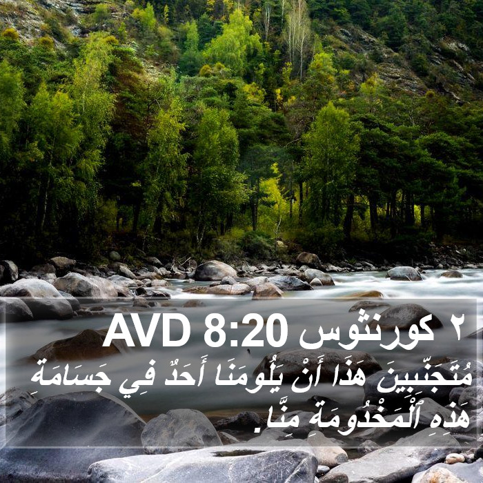 ٢ كورنثوس 8:20 AVD Bible Study