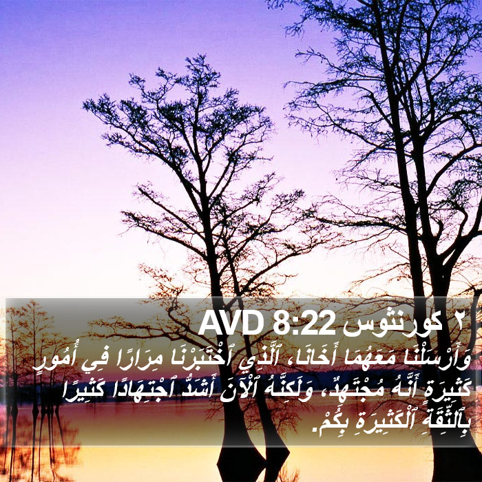 ٢ كورنثوس 8:22 AVD Bible Study