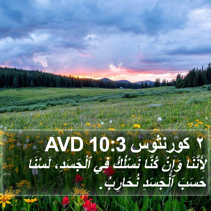 ٢ كورنثوس 10:3 AVD Bible Study