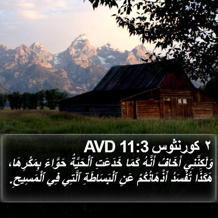 ٢ كورنثوس 11:3 AVD Bible Study