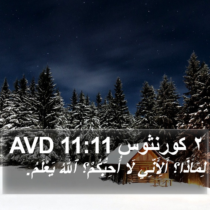 ٢ كورنثوس 11:11 AVD Bible Study