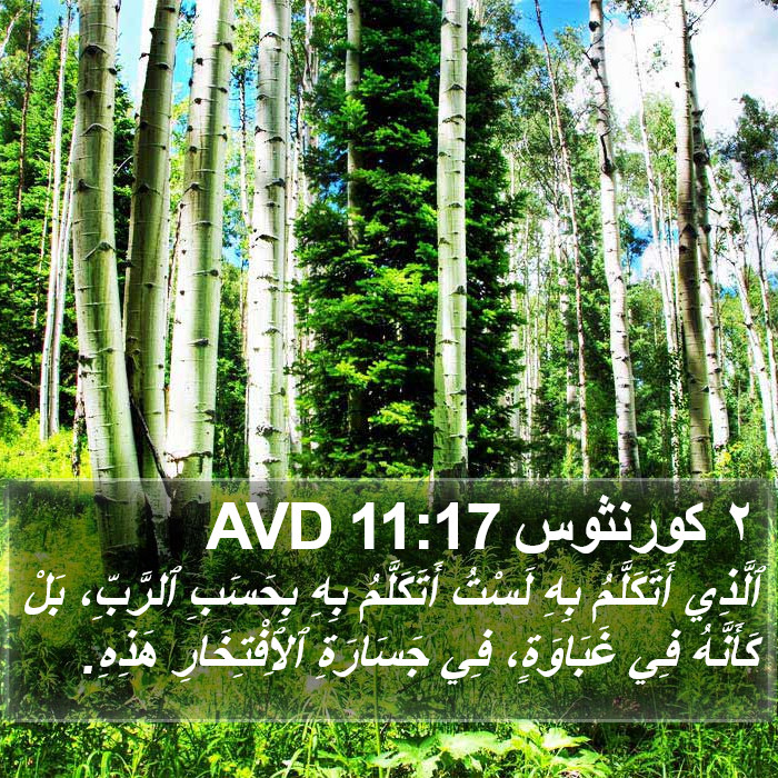 ٢ كورنثوس 11:17 AVD Bible Study