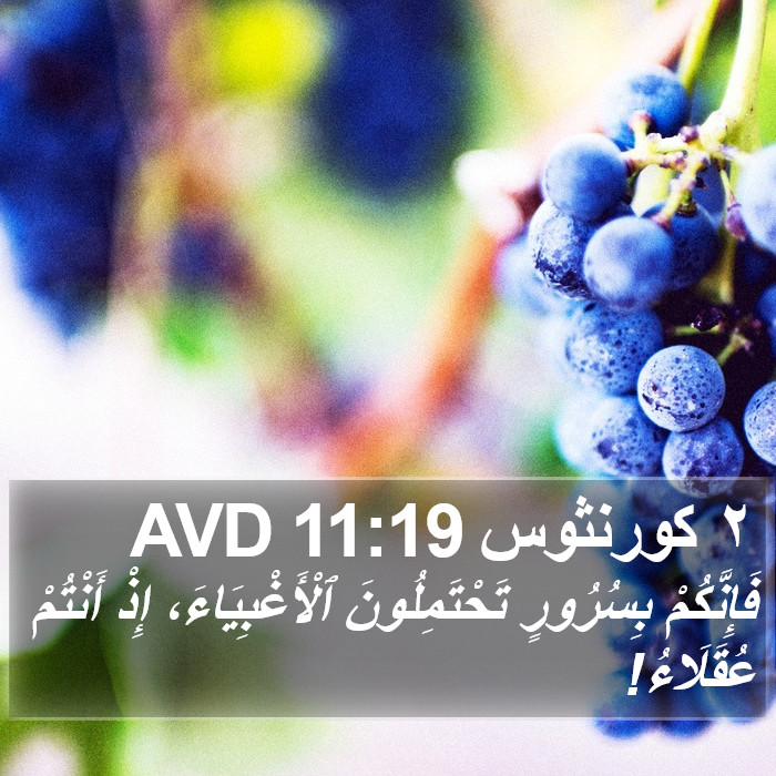 ٢ كورنثوس 11:19 AVD Bible Study