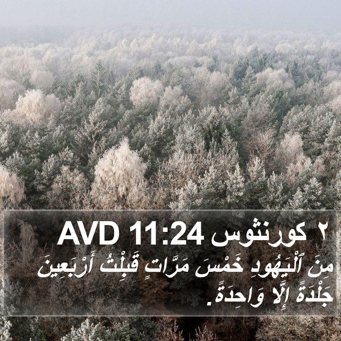 ٢ كورنثوس 11:24 AVD Bible Study