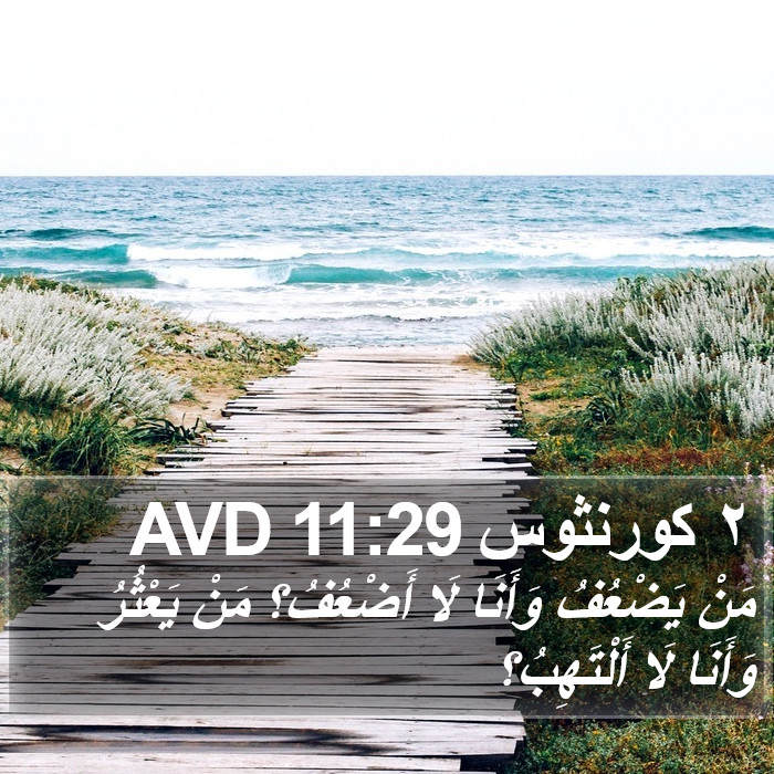 ٢ كورنثوس 11:29 AVD Bible Study