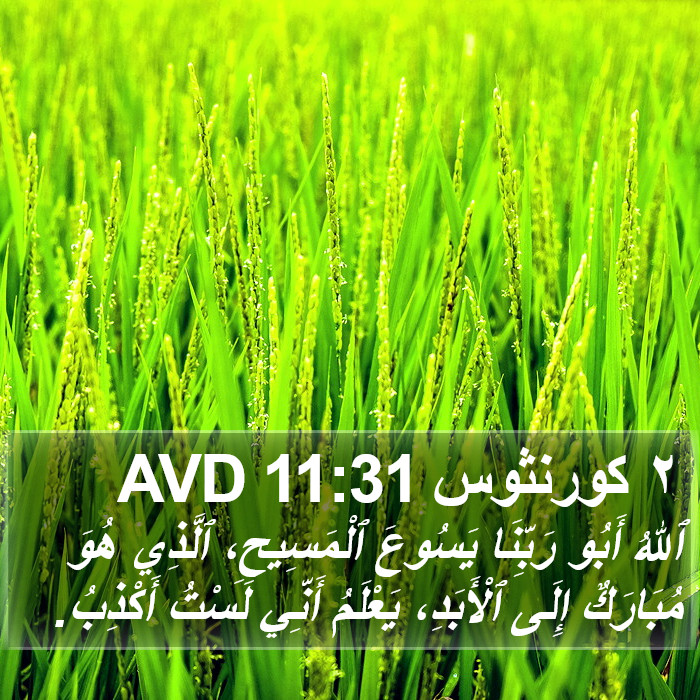 ٢ كورنثوس 11:31 AVD Bible Study