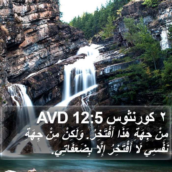 ٢ كورنثوس 12:5 AVD Bible Study