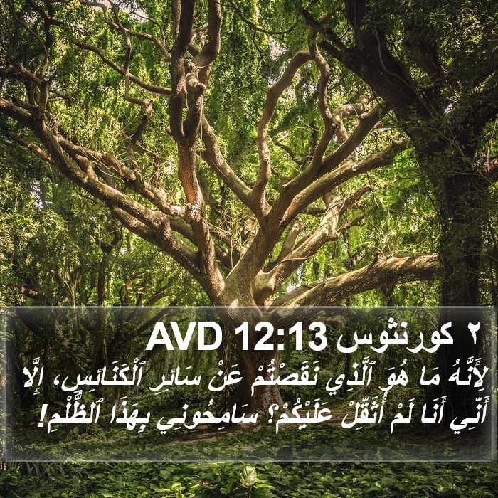 ٢ كورنثوس 12:13 AVD Bible Study