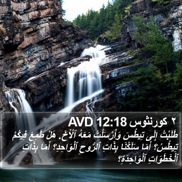 ٢ كورنثوس 12:18 AVD Bible Study