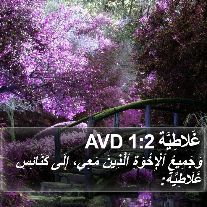 غَلاطِيَّة 1:2 AVD Bible Study