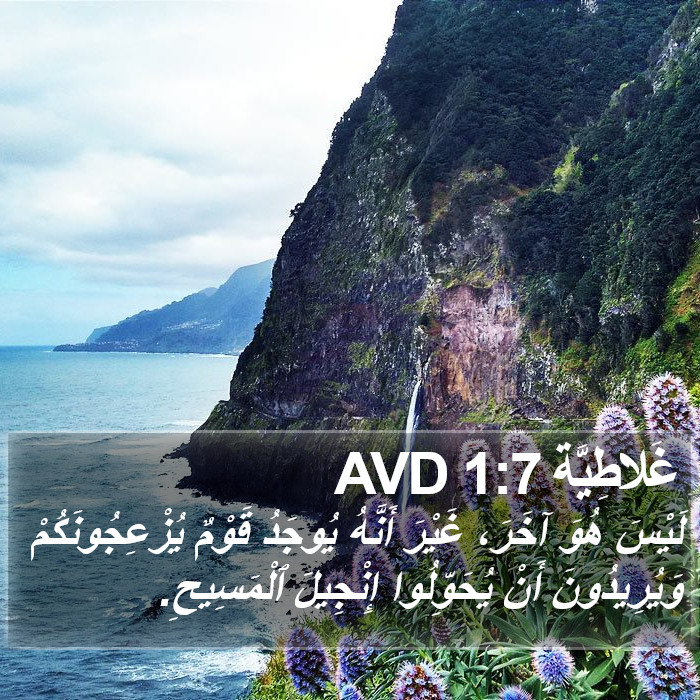 غَلاطِيَّة 1:7 AVD Bible Study