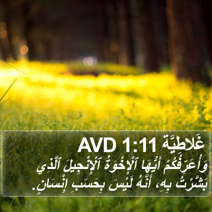 غَلاطِيَّة 1:11 AVD Bible Study