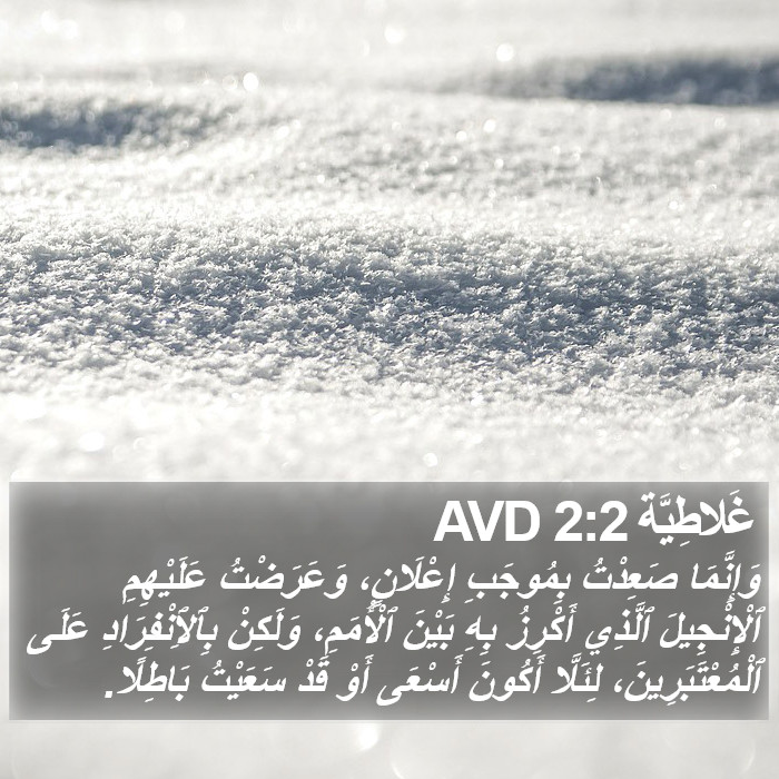 غَلاطِيَّة 2:2 AVD Bible Study