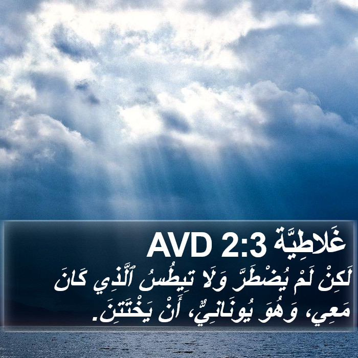 غَلاطِيَّة 2:3 AVD Bible Study