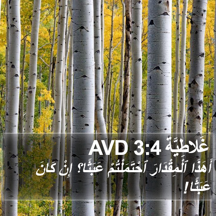 غَلاطِيَّة 3:4 AVD Bible Study