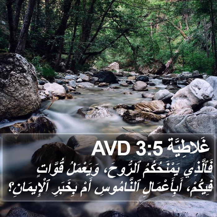 غَلاطِيَّة 3:5 AVD Bible Study