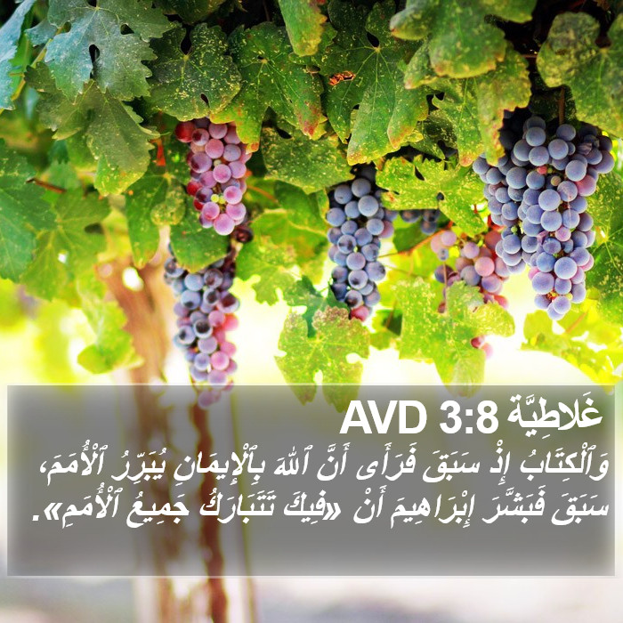 غَلاطِيَّة 3:8 AVD Bible Study