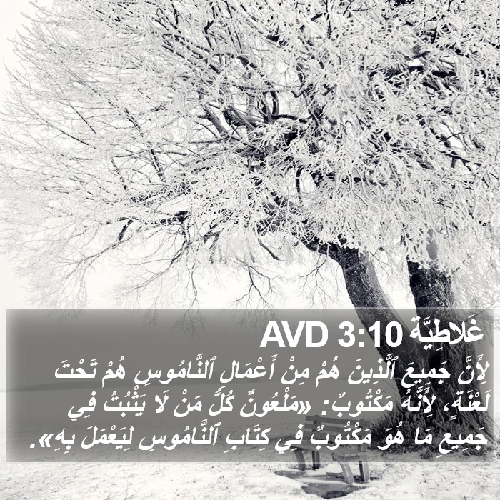 غَلاطِيَّة 3:10 AVD Bible Study