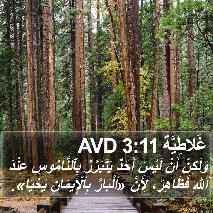 غَلاطِيَّة 3:11 AVD Bible Study