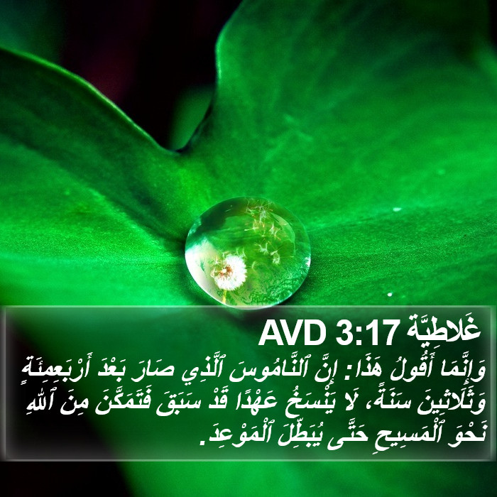 غَلاطِيَّة 3:17 AVD Bible Study