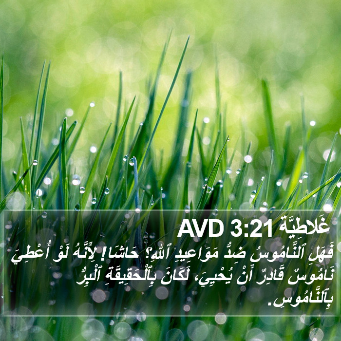 غَلاطِيَّة 3:21 AVD Bible Study